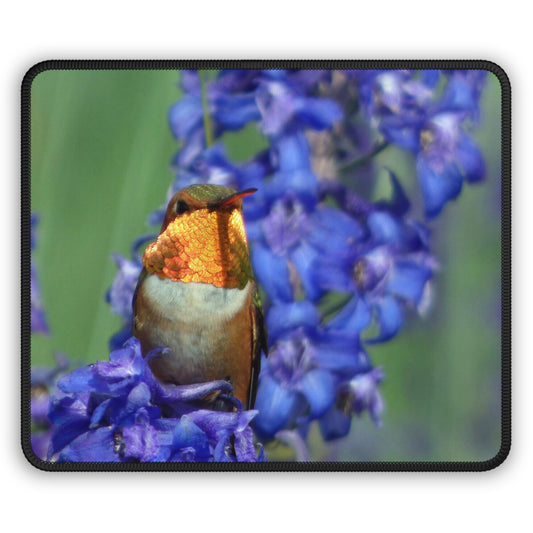 Hummingbird Mouse Pad