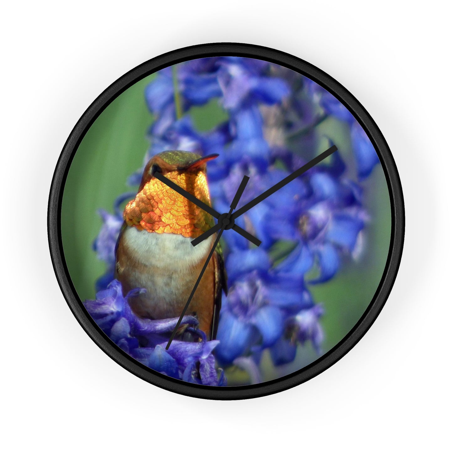 Hummingbird Wall Clock