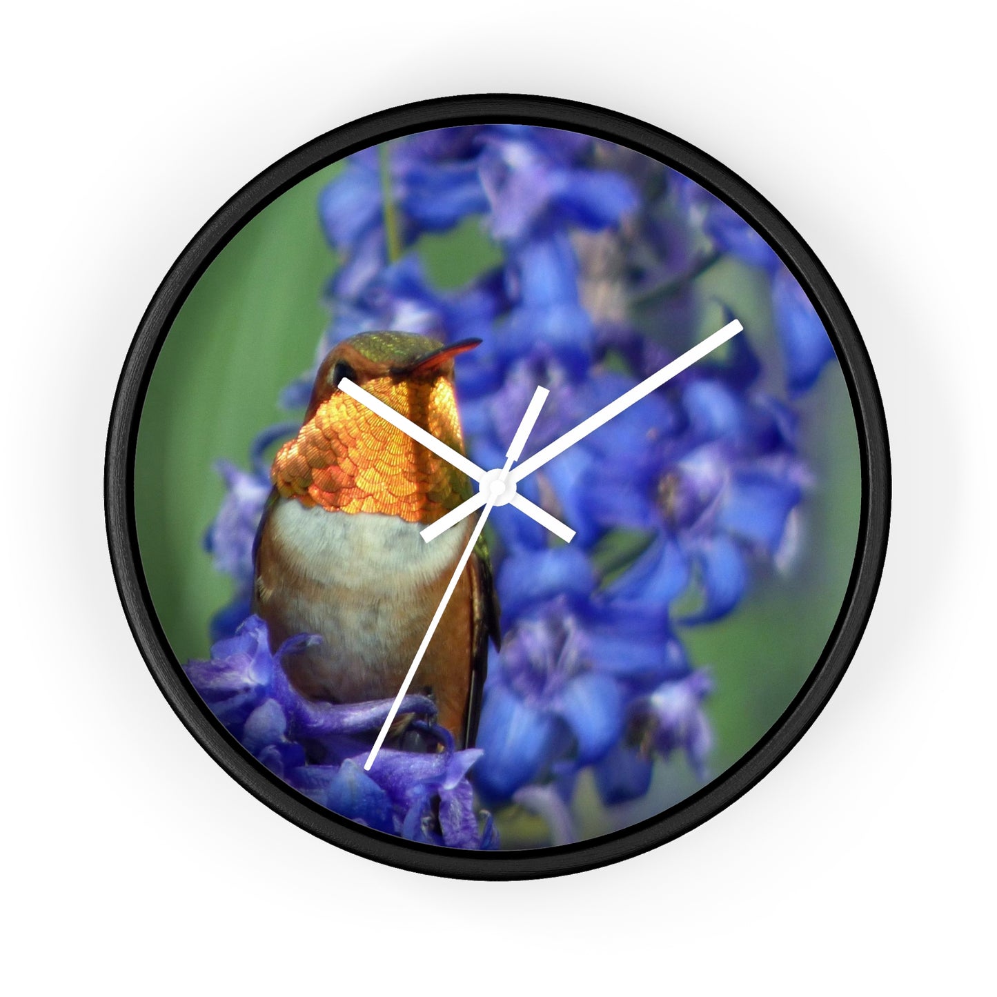 Hummingbird Wall Clock