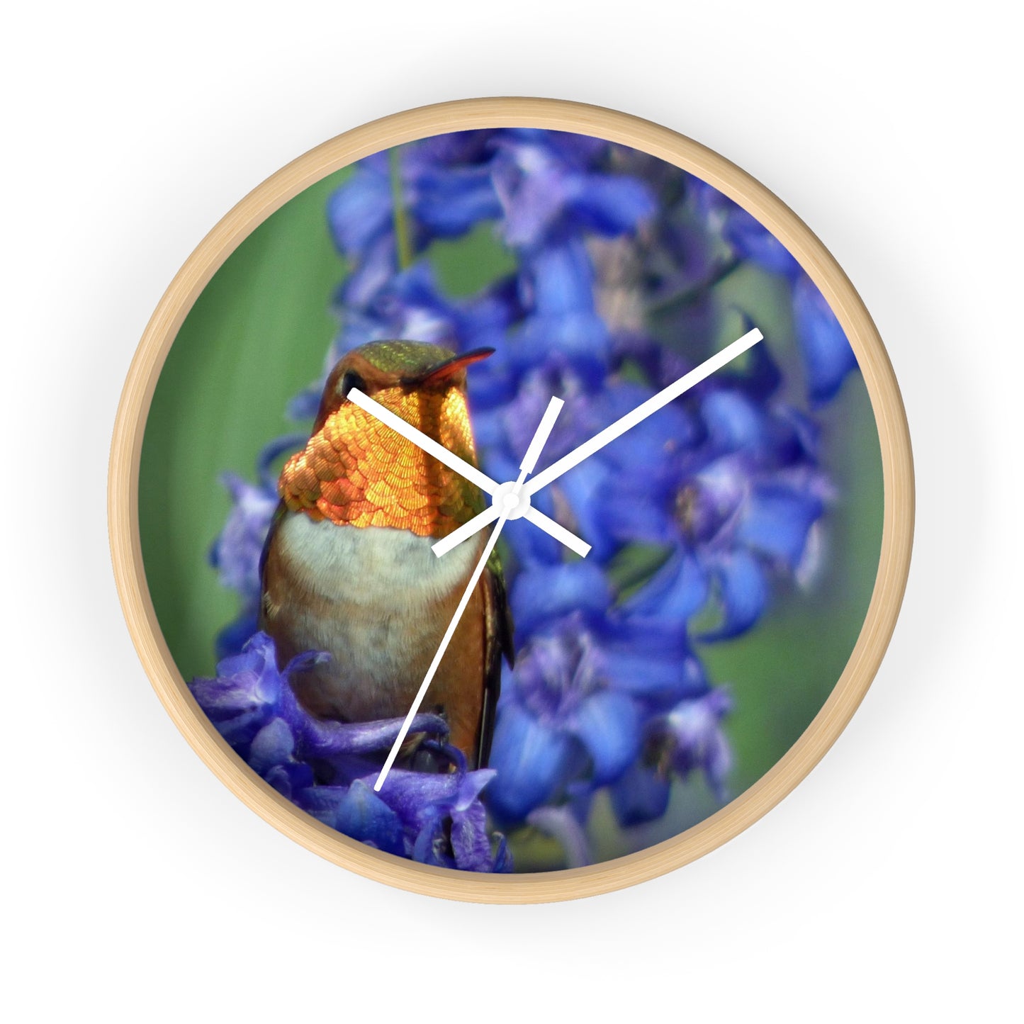 Hummingbird Wall Clock